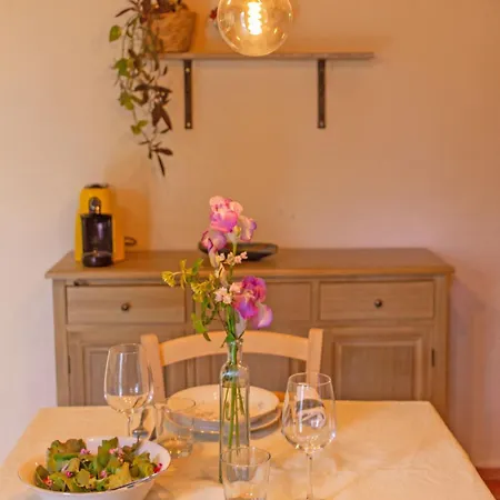 Apartment Con Piscina E Giardino - Lavanda Ghizzano
