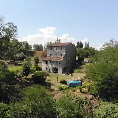 Apartment Con Piscina E Giardino - Lavanda Ghizzano