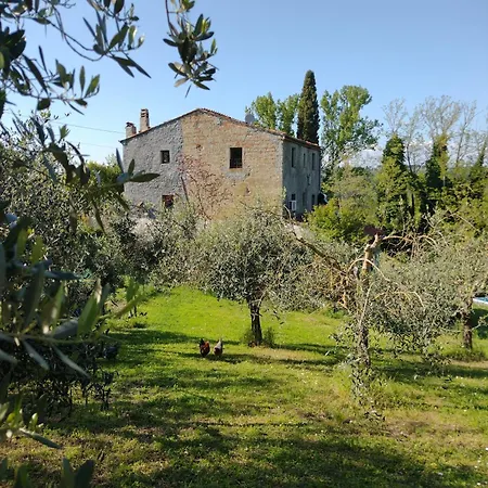 Con Piscina E Giardino - Lavanda