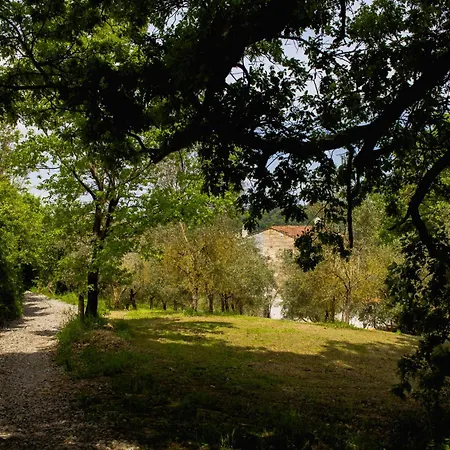Con Piscina E Giardino - Lavanda * Ghizzano