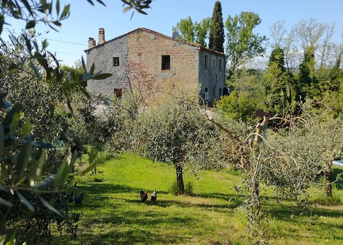Con Piscina E Giardino - Lavanda