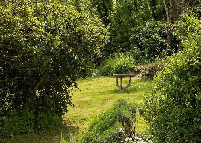 Apartman Con Piscina E Giardino - Lavanda *