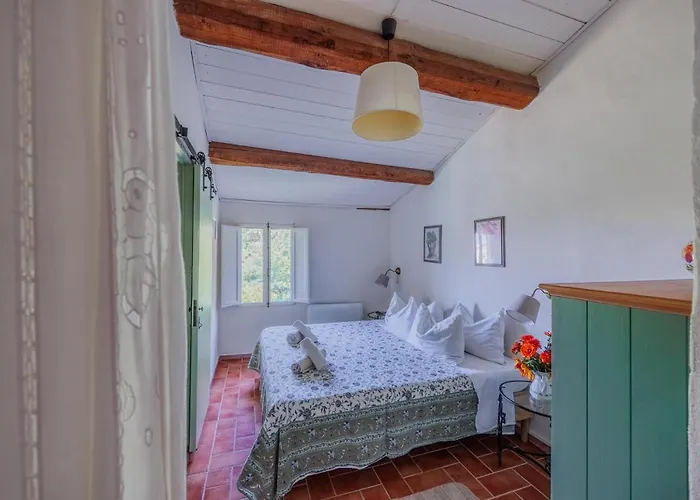 Apartman Con Piscina E Giardino - Lavanda