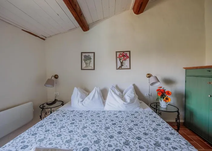 Con Piscina E Giardino - Lavanda Ghizzano